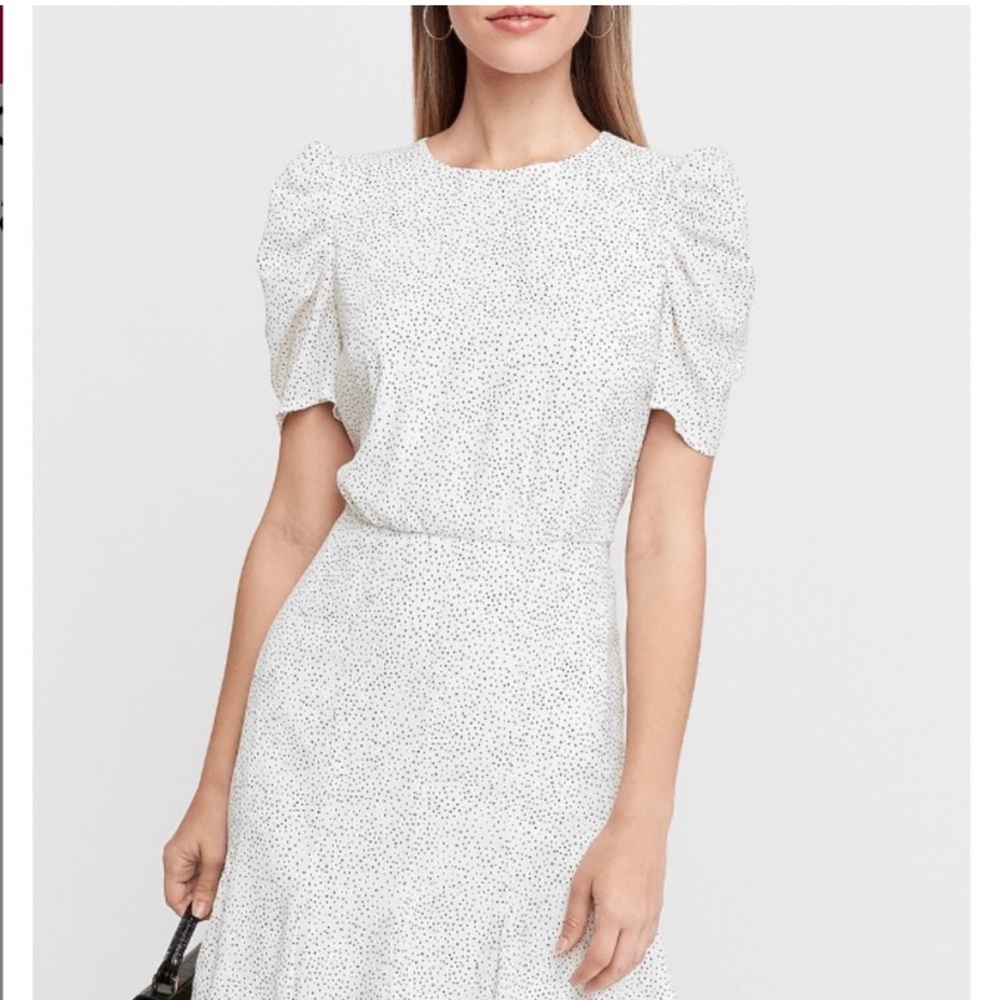 NWT Express Dress